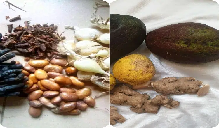 Natural remedies for Ulcer, Fever, Asthma, Cholera, Arthritis and more