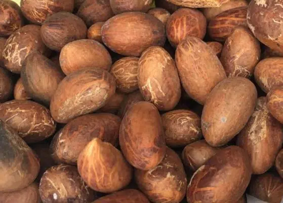 Health Benefits of Red cola nut