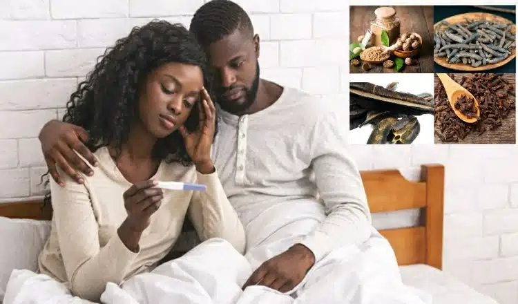 NATURAL REMEDY TO IMPROVE FERTILITY IN MEN AND WOMEN