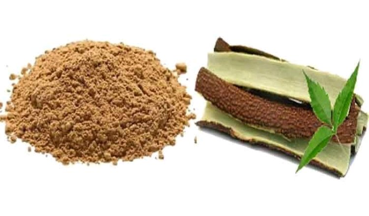 Unveiling Neem Bark's Secrets: Natural Support for Digestion, Hypertension, and Beyond