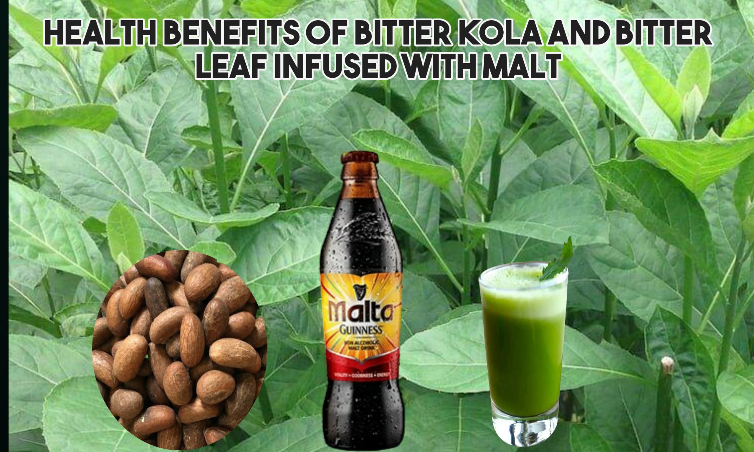 Health Benefits of Bitter Kola and Bitter Leaf Infused with Malt!