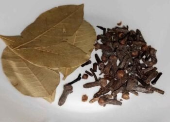 Purification bath of Unblocking and attraction with Bay Leaves