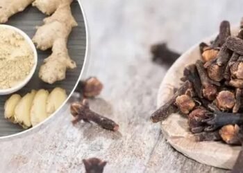 the Health Benefits of Cloves and Ginger"