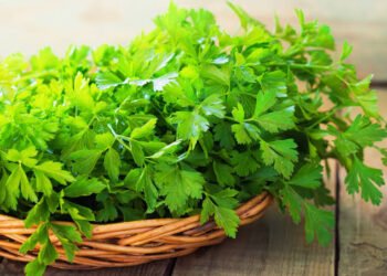 Say Goodbye to Painful Periods, UTIs and Anemia with Parsley