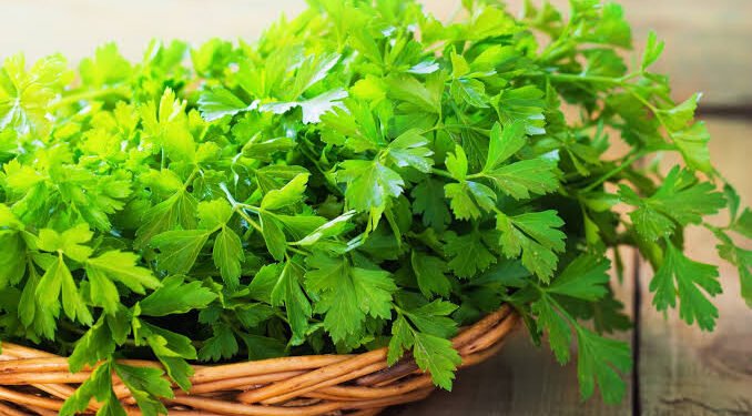 Say Goodbye to Painful Periods, UTIs and Anemia with Parsley