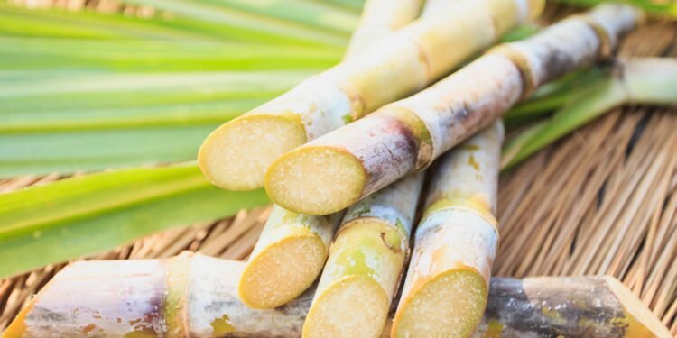 Health Benefits of Sugarcane That Will Amaze You
