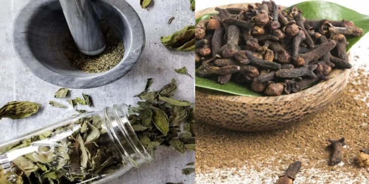 How to attract Customers Naturally with Basil Leaves and Cloves