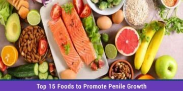 Top 15 Foods for Phallus Health & Stronger Erections